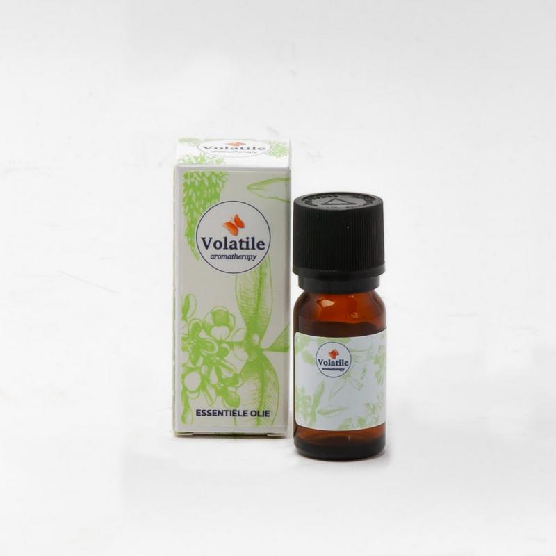 Volatile Olibanum serrata C02-SE