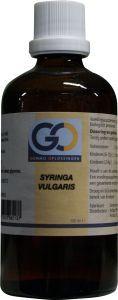 GO Syringa vulgaris bio
