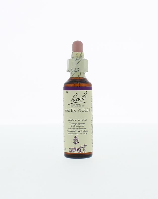 Bach Water violet/waterviolier