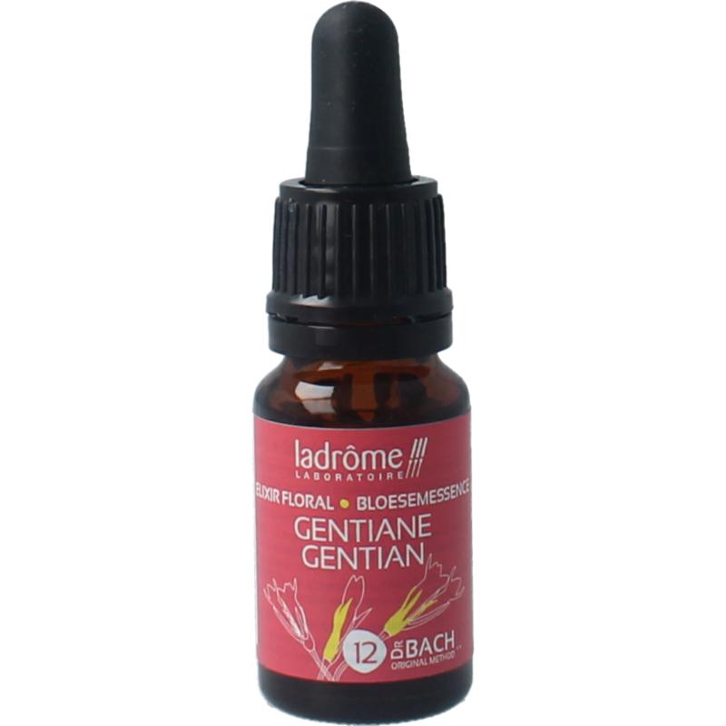 Ladrome Gentian bio