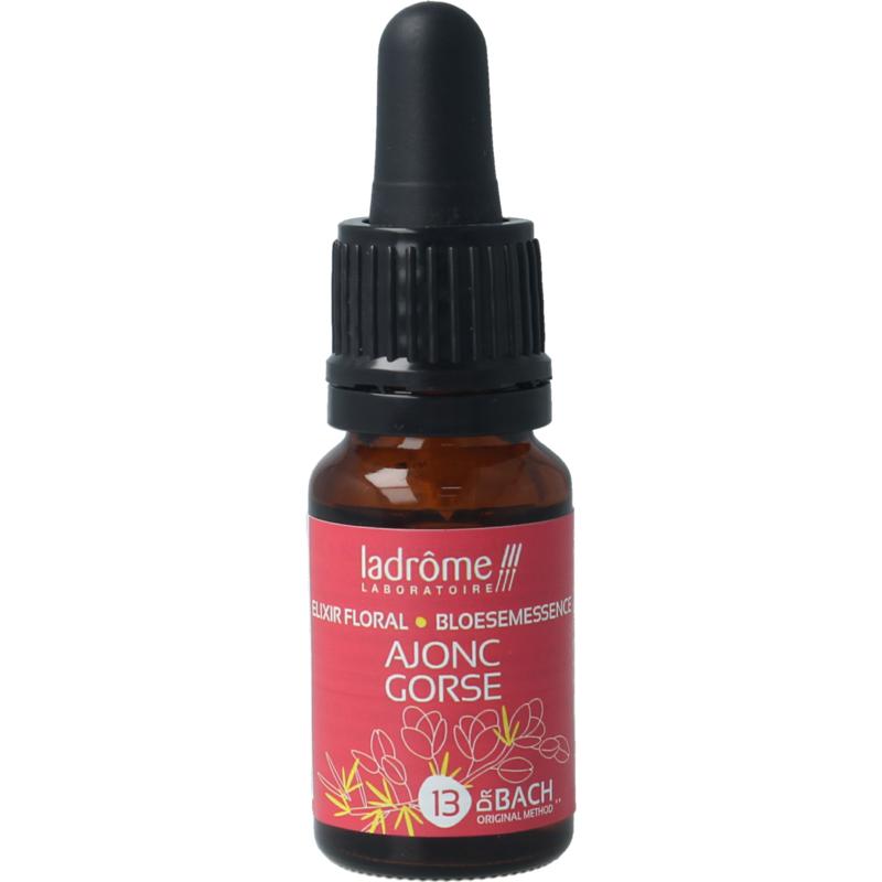 Ladrome Gorse bio