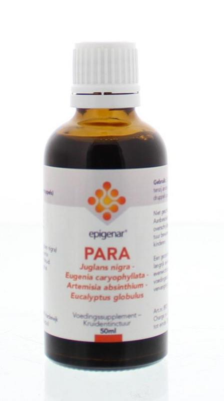 Epigenar Support PARA